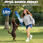Felinoir SmartPlay Ball
