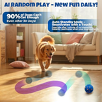 Felinoir SmartPlay Ball
