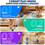 Felinoir SmartPlay Ball