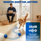 Felinoir SmartPlay Ball