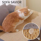Anti-Chat gratter canapé protection conseil