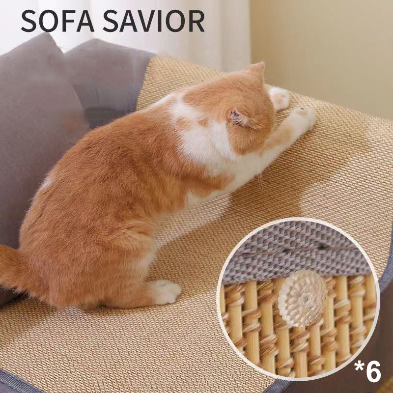Anti-Chat gratter canapé protection conseil