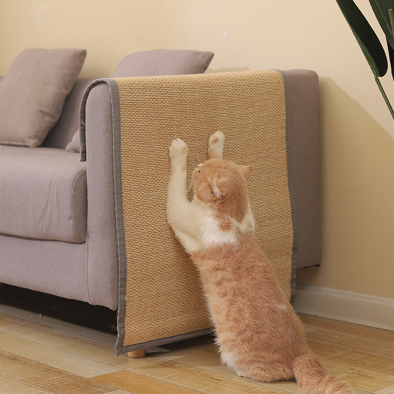Anti-Chat gratter canapé protection conseil