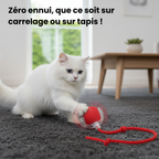 CrazyBall Balle Interactive