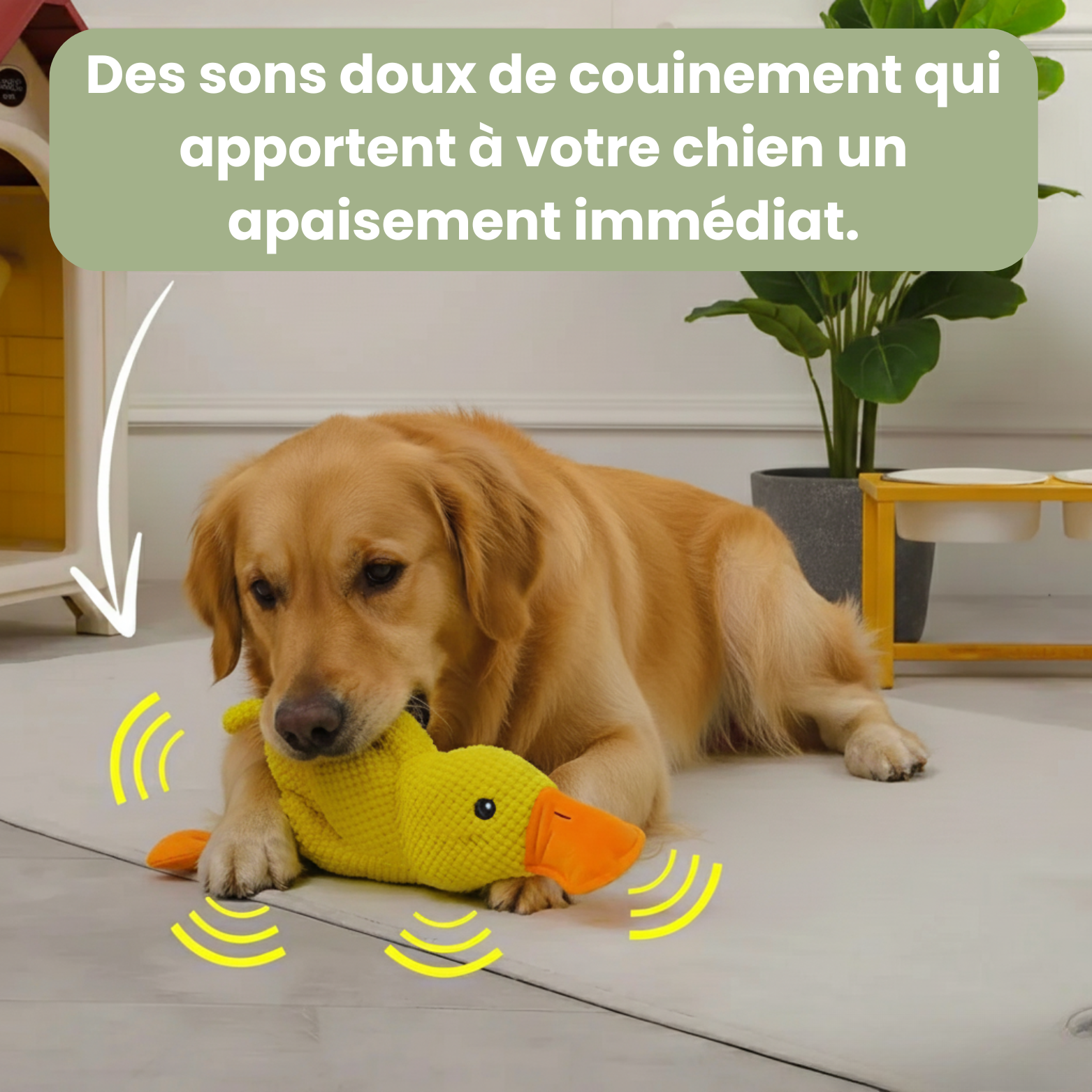 ZenDuck Canard anti-stress
