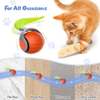 Furloo Interactive Cat Toys