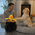 ZenDuck Canard anti-stress