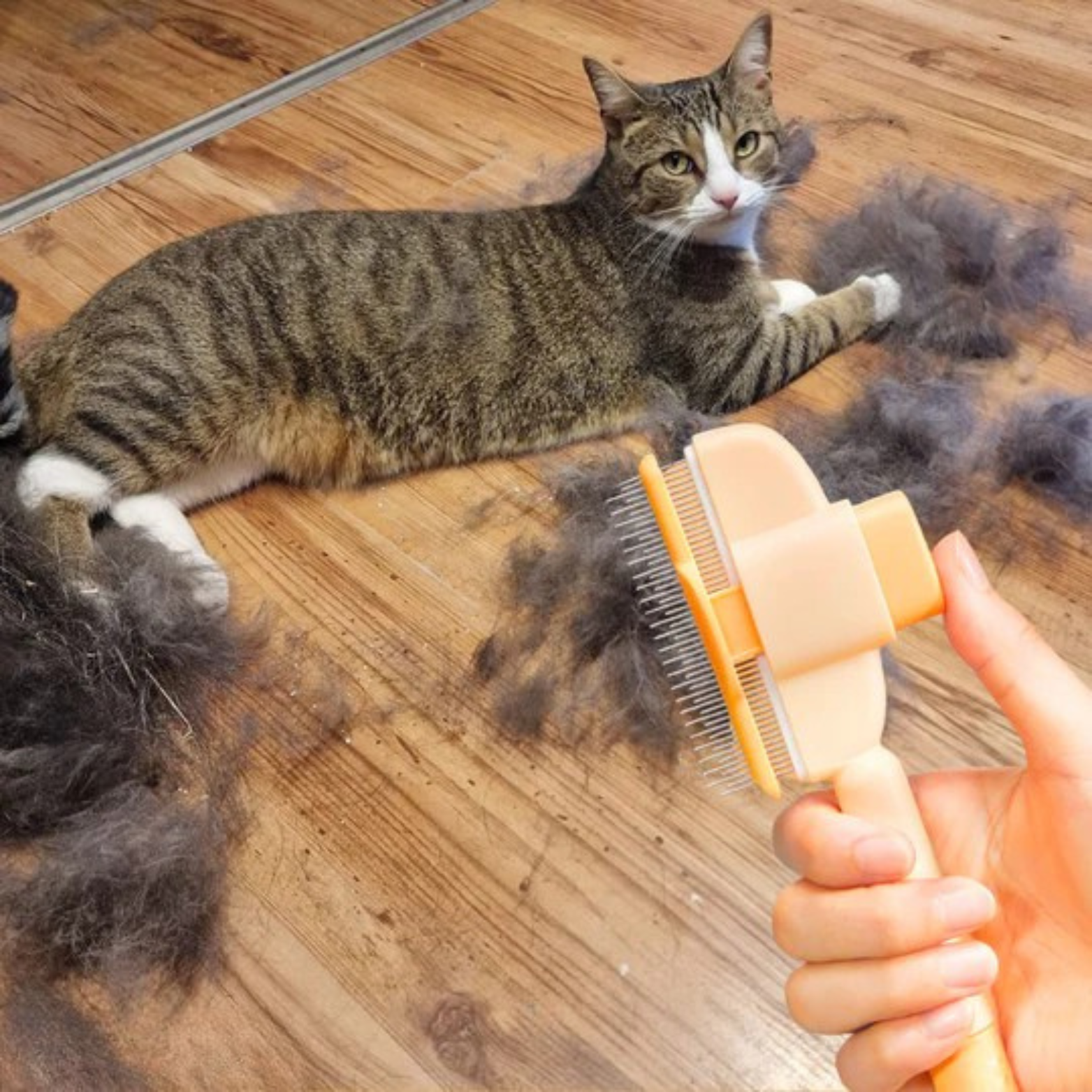 Brosse anti-poil pour chat