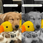 ZenDuck Canard anti-stress