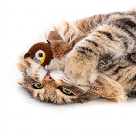 Furloo FlyBird