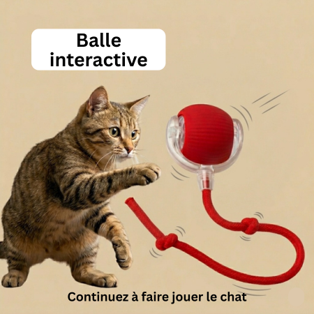 CrazyBall Balle Interactive
