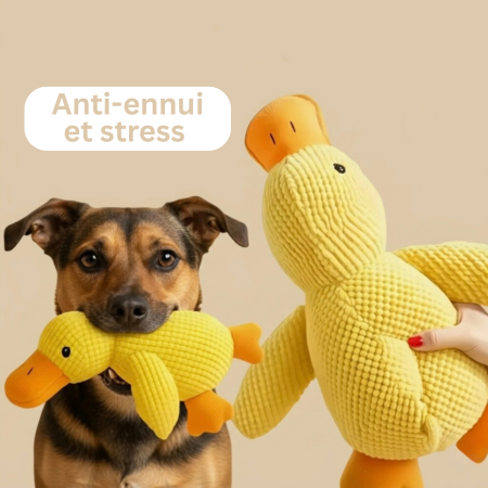 ZenDuck Canard anti-stress