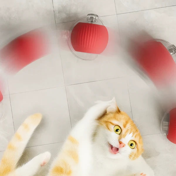 CrazyBall Balle Interactive