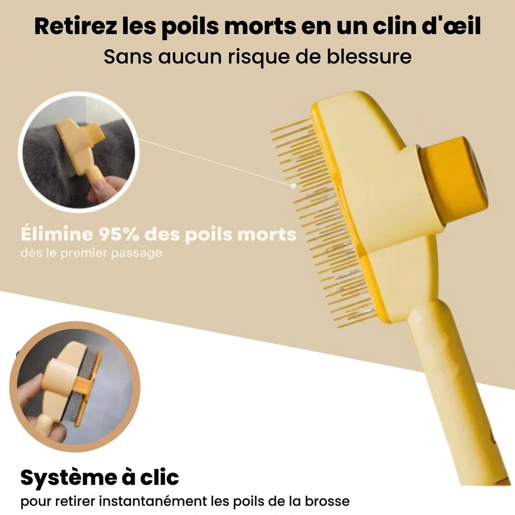 Brosse anti-poil pour chat