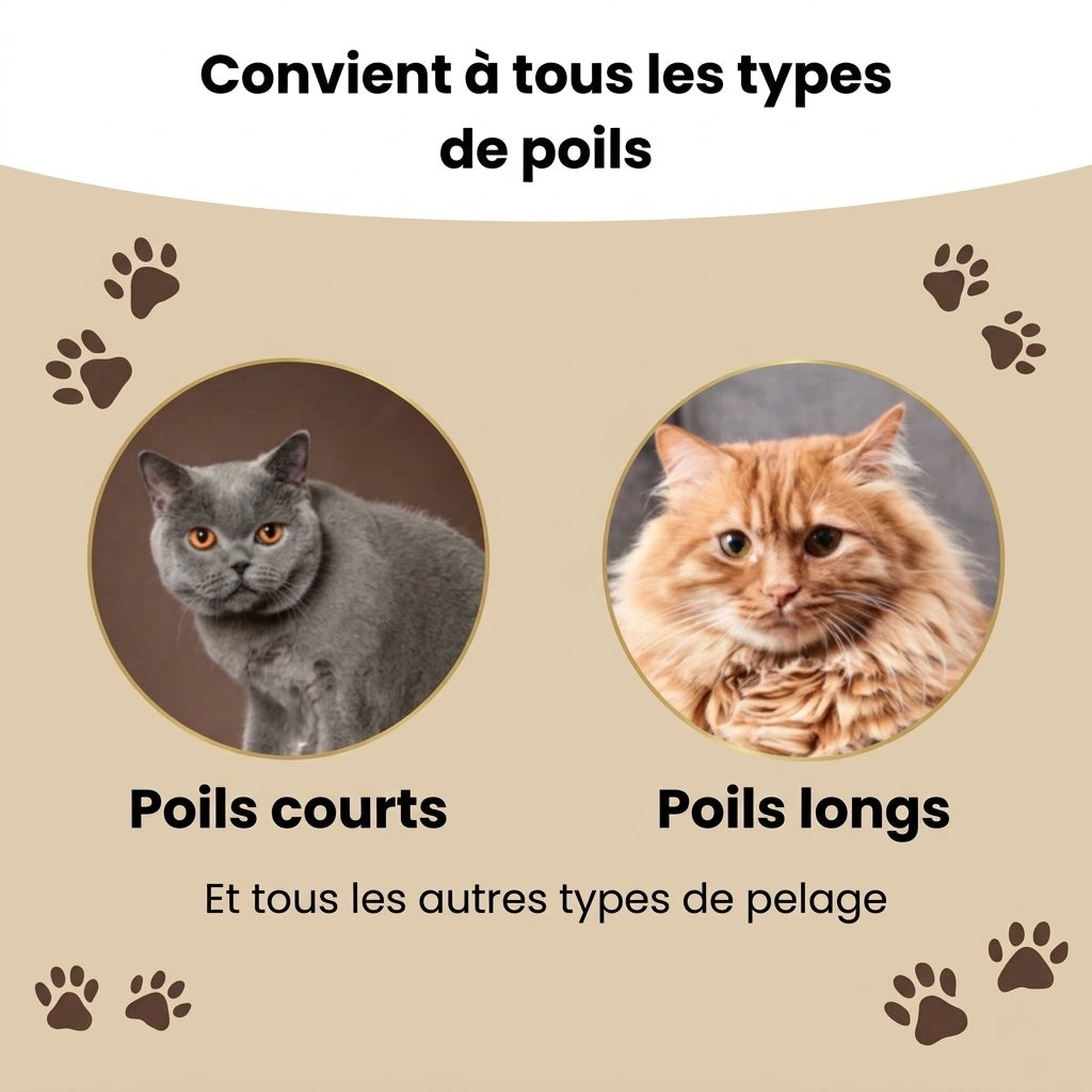 Brosse anti-poil pour chat