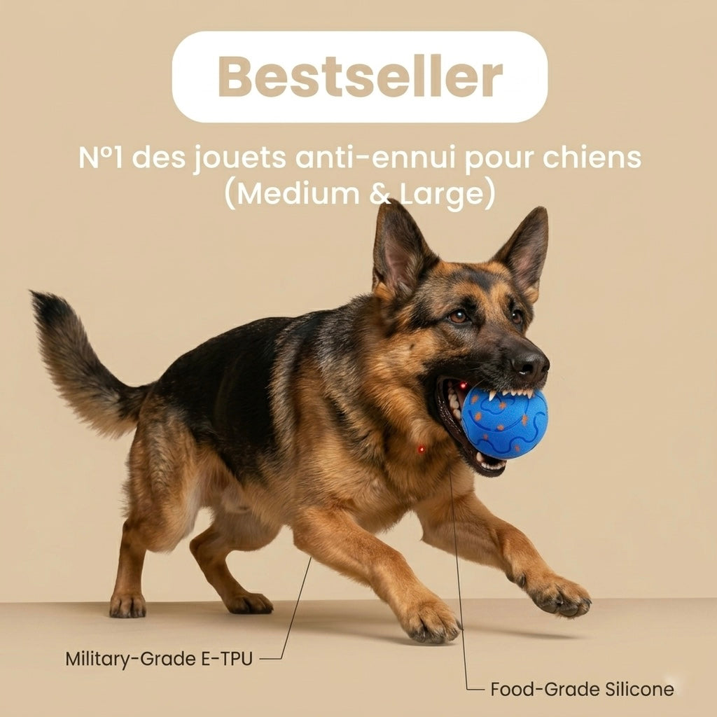 Felinoir SmartPlay Ball