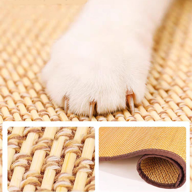Anti-Chat gratter canapé protection conseil