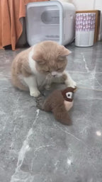 Furloo FlyBird